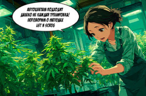 Тренировки для автоцветов