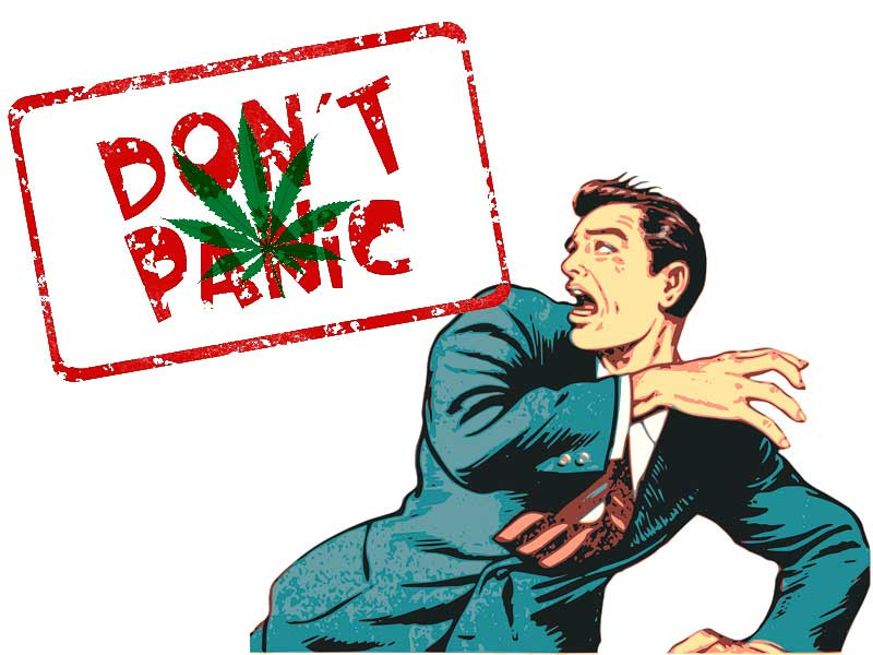 Признаки передозировки коноплёй Паника от марихуаны