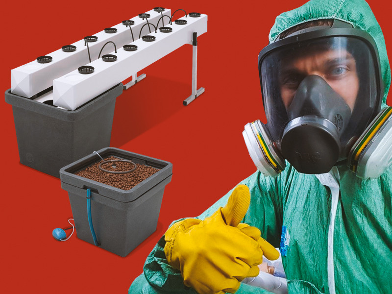 Стерильная гидропоника один из лучших способов выращивать коноплю Гигиена гидропонной системы для конопли