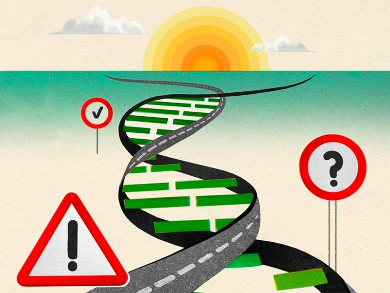 Разница между генотипом и фенотипом Генотип и фенотип