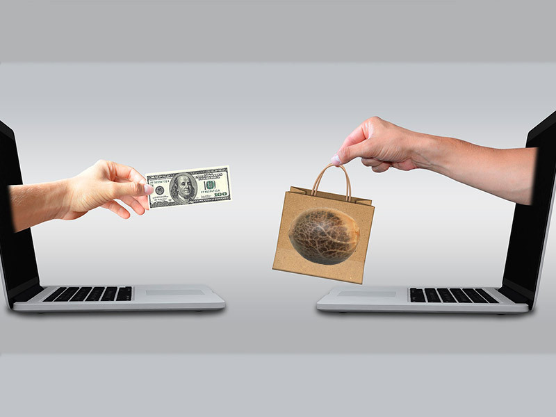 Безопасность приобретения семян конопли в интернет-магазине Безопасность покупки семян конопли в интернет-магазине