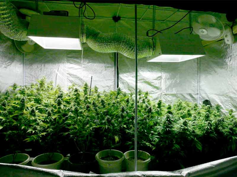 Оборудованный гроубокс Виды гроубоксов